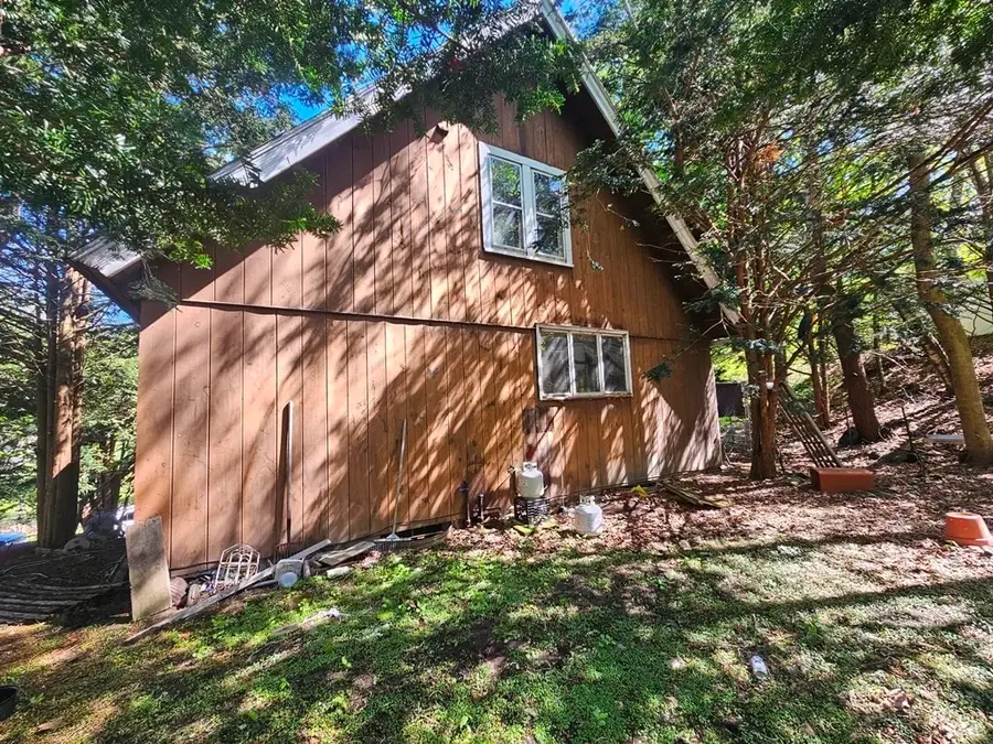 57 E Hawley Rd, Charlemont, MA 01339 - #3