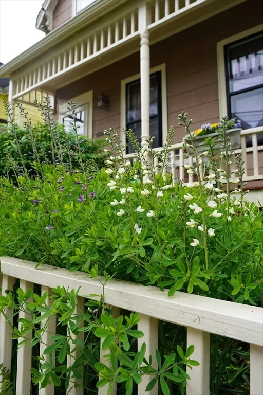 10 Mountain Ave, Somerville, MA 02143 - #3