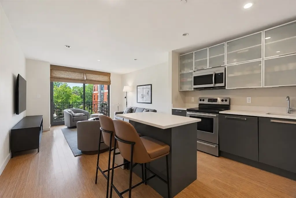 691 Massachusetts Avenue #301, Boston, MA 02118 - #1