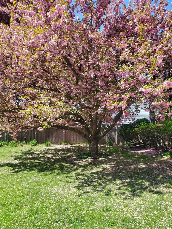 9 Mayfield Rd, Belmont, MA 02478 - #2
