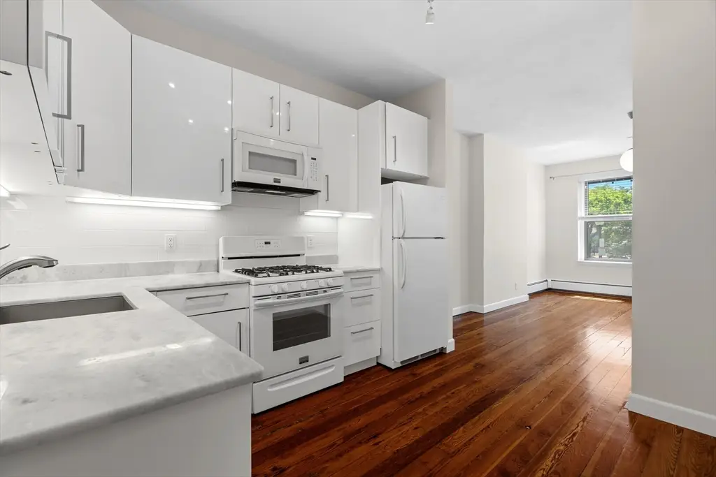 130 Union Park St #1, Boston, MA 02118 - #1