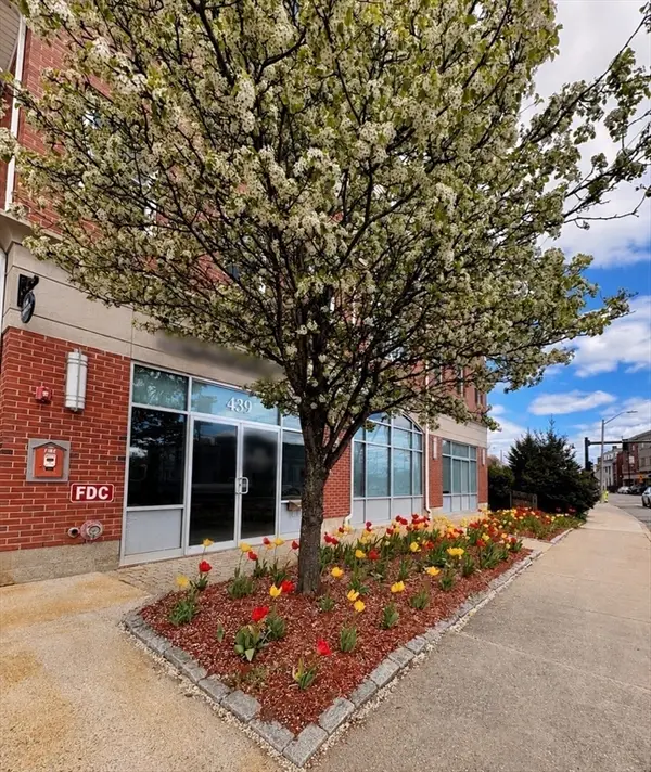 441 Washington St #203, Dedham, MA 02026