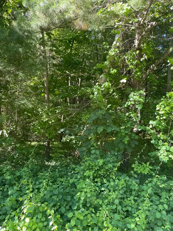 Lot A Ware Rd, Belchertown, MA 01007 - #1
