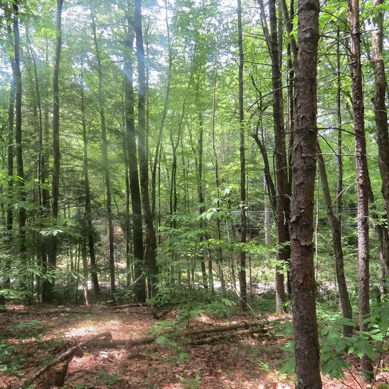 Lot 1 Pratt Corner Road, Leverett, MA 01054 - #1