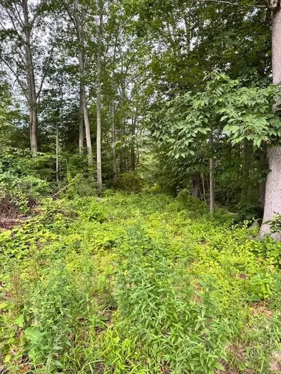 24-A 34-A Dow, Pepperell, MA 01463 - #3