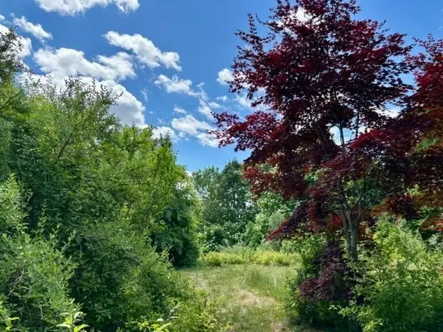 921 Main St, Acushnet, MA 02743 - #2
