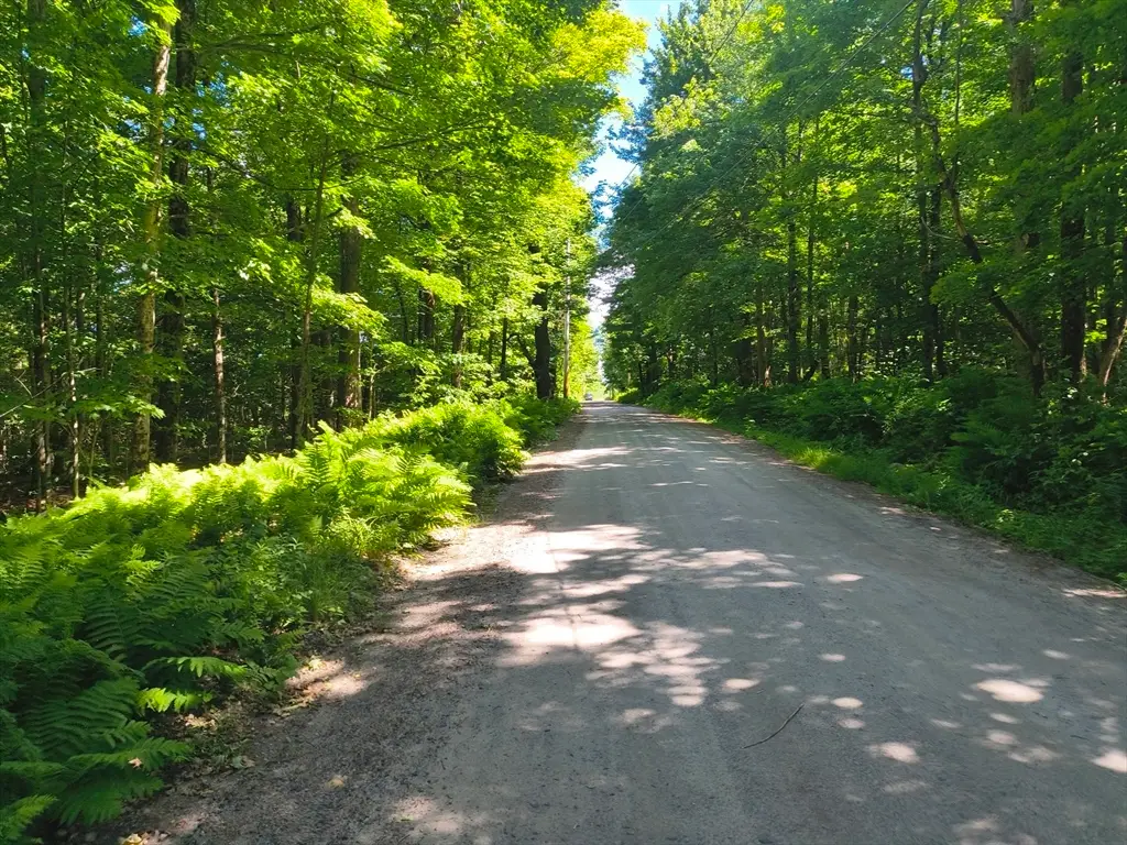 lot1 Holcomb Road, Chester, MA 01011 - #1