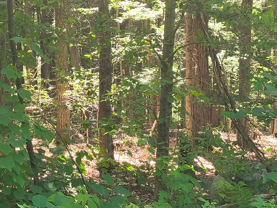 lot 1.1 Skyline Trail, Middlefield, MA 01243 - #2
