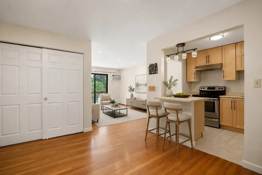 655 Saw Mill Brook Prkwy #20, Newton, MA 02459 - #2