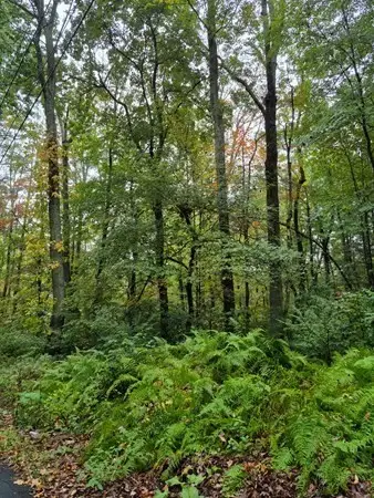 0 Blackmer Rd, Southbridge, MA 01550 - #1