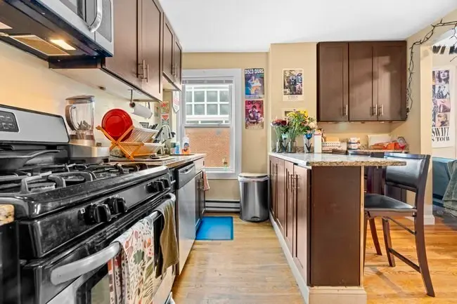 4 Burke St, Boston, MA 02120 - #3