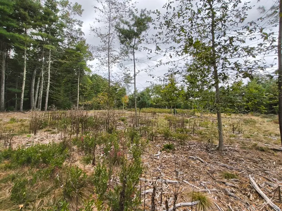 0 Cobb St, Norton, MA 02766 - #3