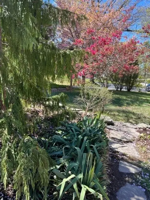 23 Howe Ave, Shrewsbury, MA 01545 - #2