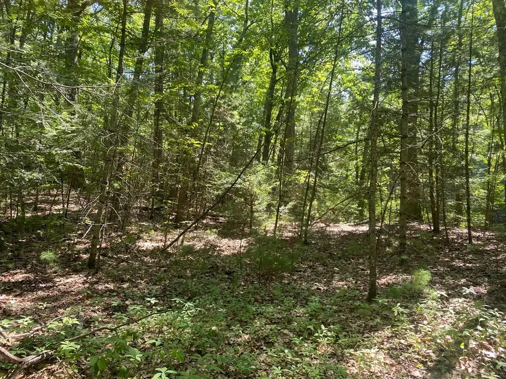 Lot 19 Bernard Whitney Rd, New Braintree, MA 01531 - #1