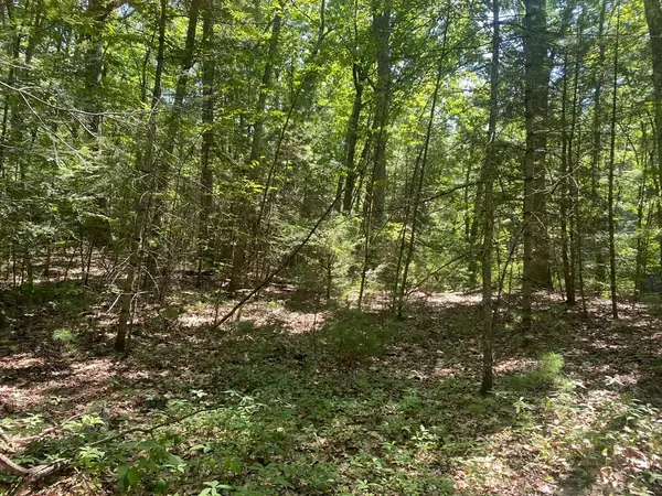 Lot 19 Bernard Whitney Rd, New Braintree, MA 01531