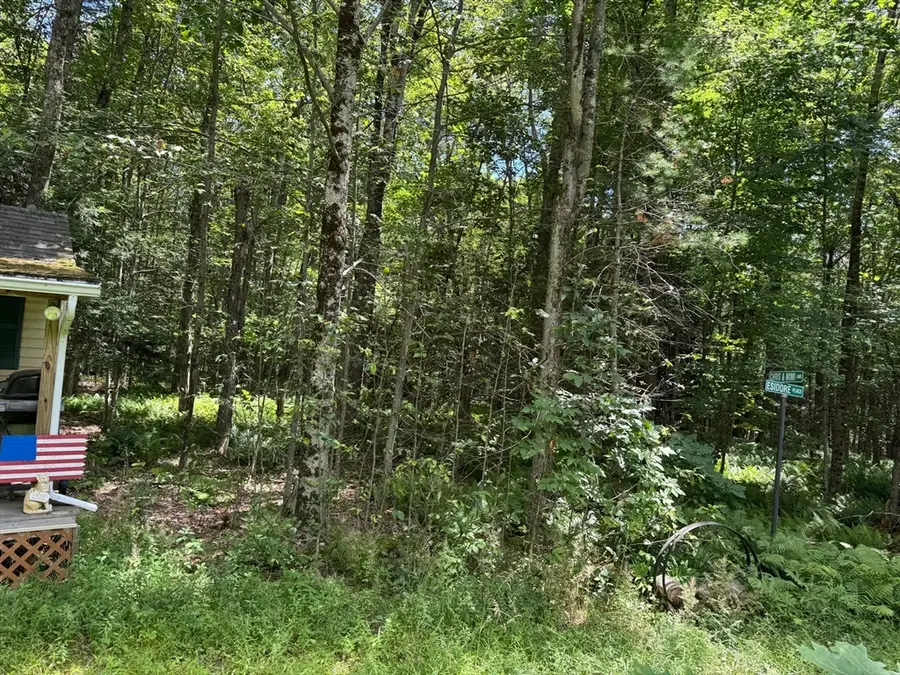 Lot 13 Algerie Rd, Otis, MA 01253 - #3