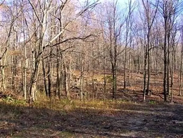480 Mountain Road, Wilbraham, MA 01095 - #1