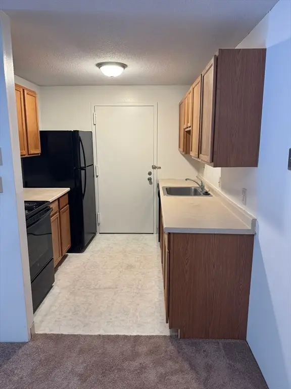 2 Village Hill Lane #7, Natick, MA 01760 - #2