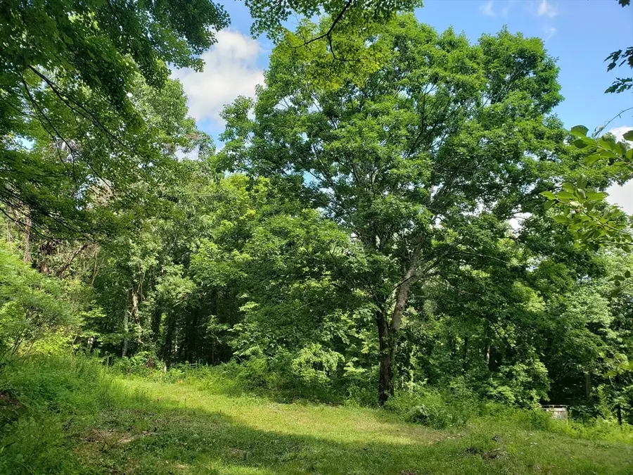 40 Harlow Clark Rd, Huntington, MA 01050 - #2