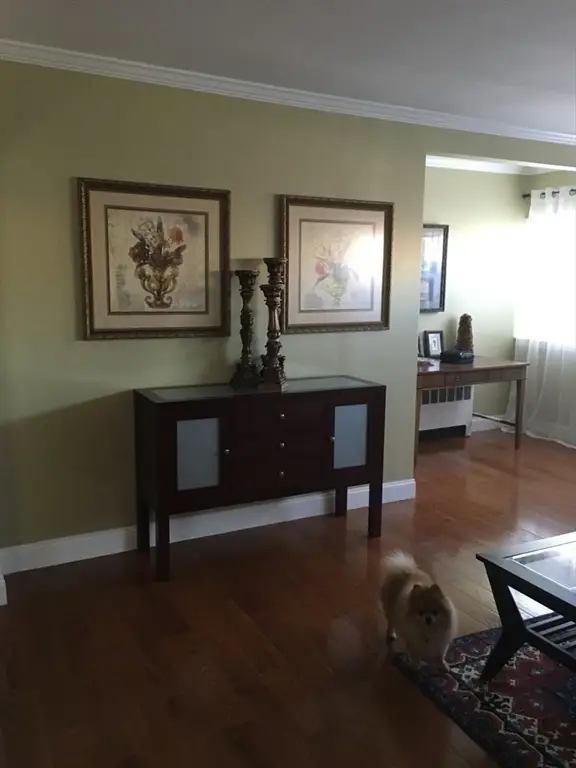 67 Tracy Ave, Lynn, MA 01902 - #2