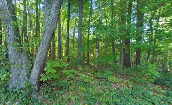 125 Kilburn St., Lunenburg, MA 01462 - #1