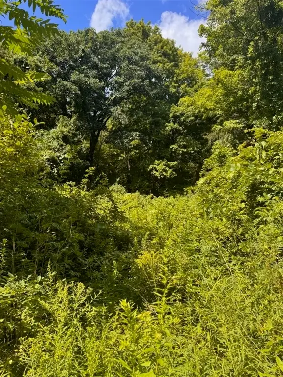 264 Breen Road, Hardwick, MA 01082 - #2