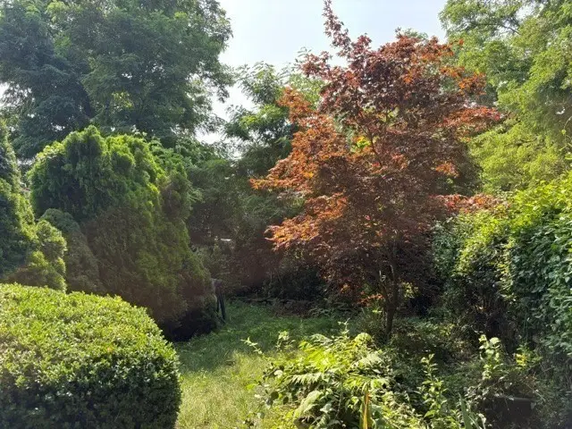 11 Sawyer Pl, Plymouth, MA 02360 - #3