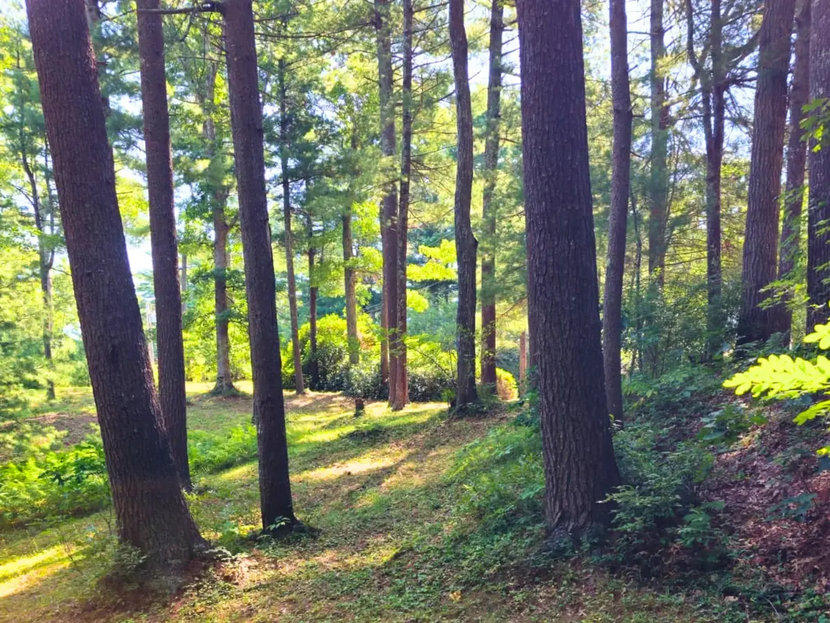 0 Nel Bonney Road, Plympton, MA 02367 - #1