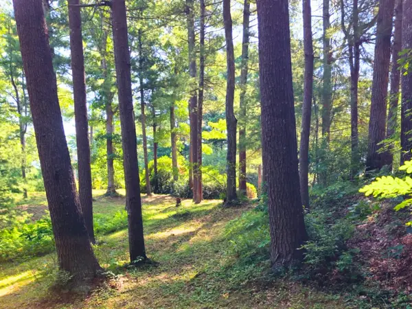 0 Nel Bonney Road, Plympton, MA 02367
