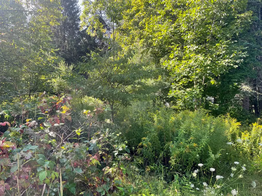16 Liberty St, Templeton, MA 01436 - #2