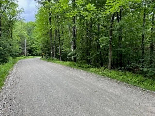 Lot 121 Davis Mine Rd, Rowe, MA 01367 - #1