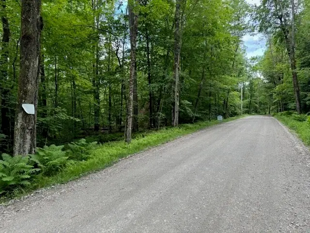 Lot 121 Davis Mine Rd, Rowe, MA 01367 - #2
