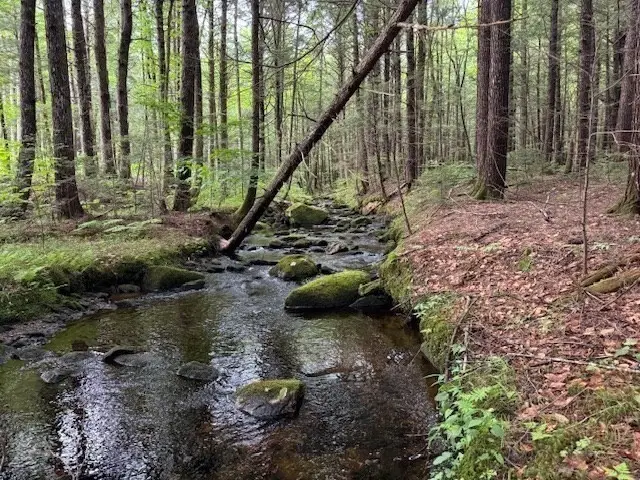 Lot 121 Davis Mine Rd, Rowe, MA 01367 - #3