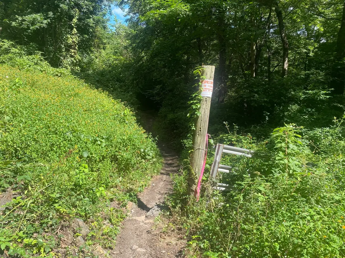 Lot 23 South Rd, Hampden, MA 01036 - #1