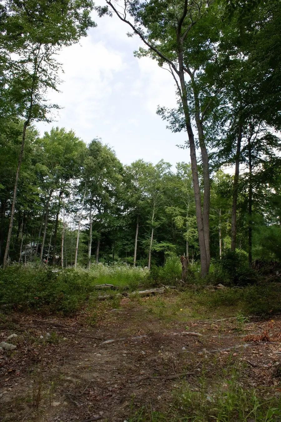 184 Bayview Ave, Berkley, MA 02779 - #3