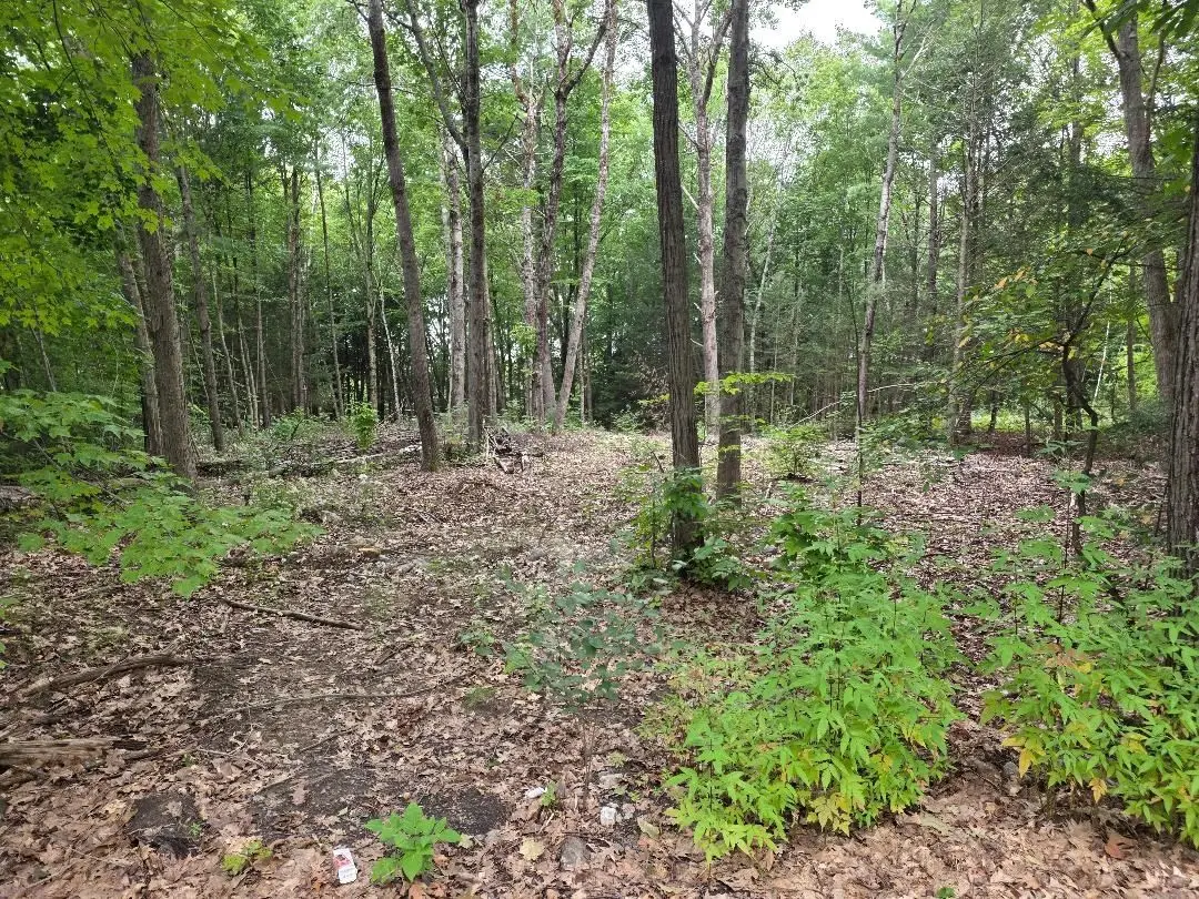 97-LOT Petersham Road, Athol, MA 01331 - #1