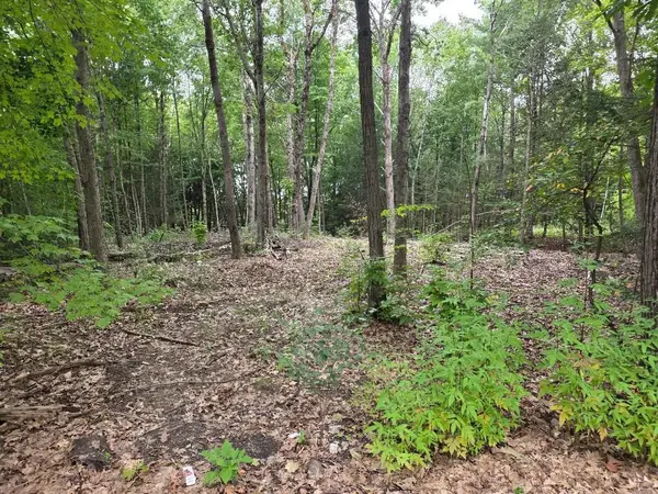 97-LOT Petersham Road, Athol, MA 01331