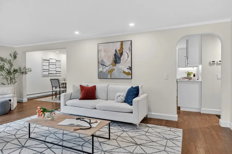 91 Grove, Chestnut Hill, MA 02467 - #3