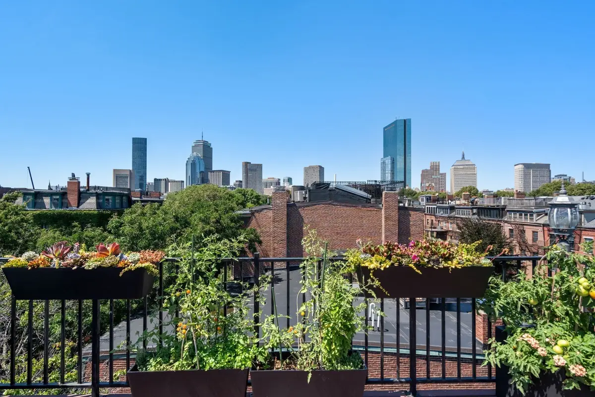 331 Shawmut Ave #4, Boston, MA 02118 - #1