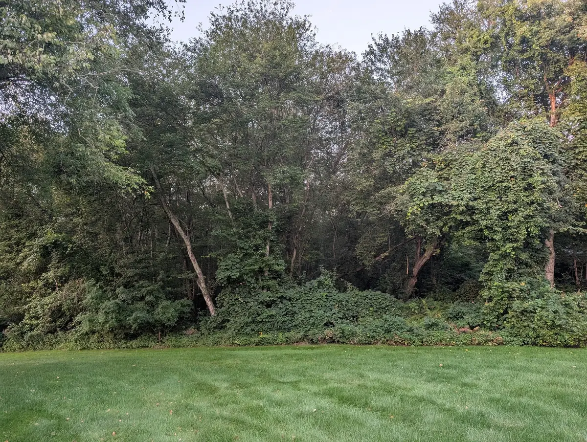 139 Meadow Brook Lane, Westport, MA 02790 - #1