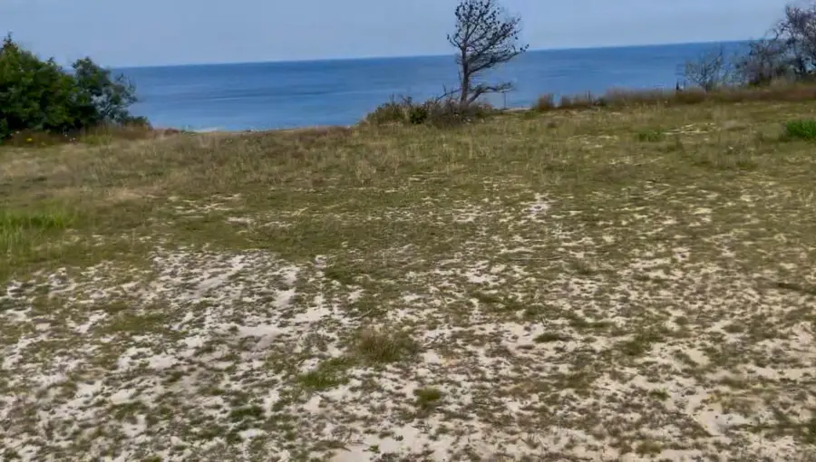 245 Nauset Light Beach Rd, Eastham, MA 02642 - #2