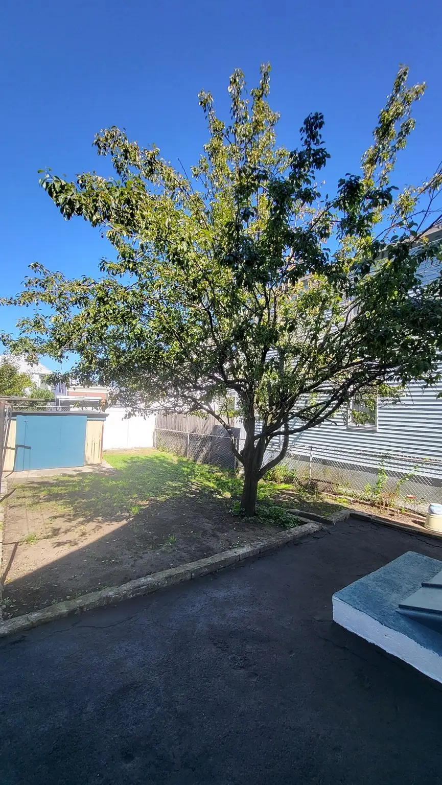 46 North Street, Lowell, MA 01852 - #3