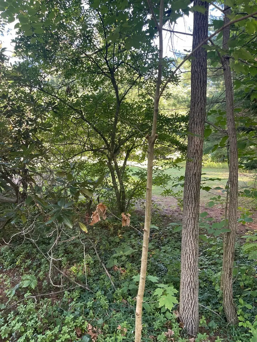 Lot 3 Old Farm Circle, Belchertown, MA 01007 - #2