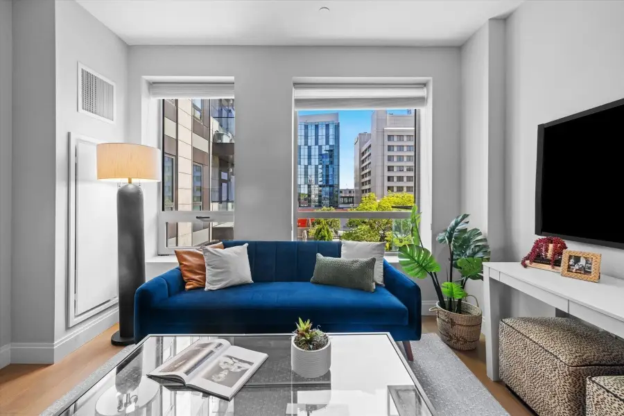 100 Shawmut #414, Boston, MA 02118 - #2