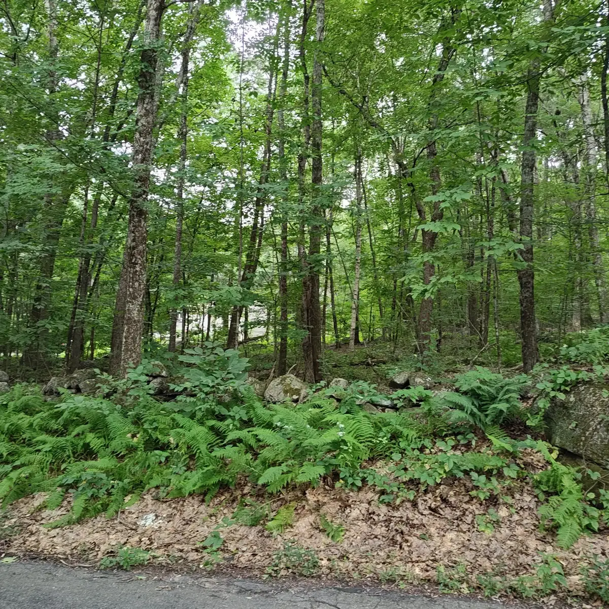 0 Old West Brookfield Rd, Warren, MA 01083 - #1