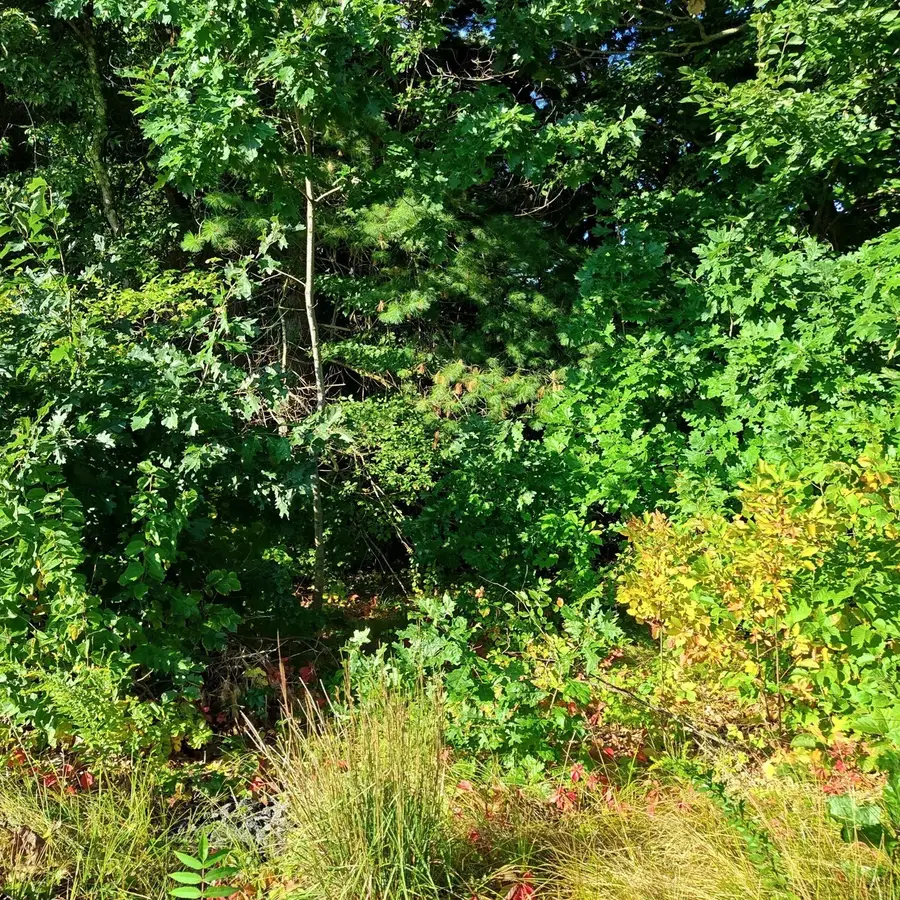 0 N Brookfield Rd, East Brookfield, MA 01515 - #3