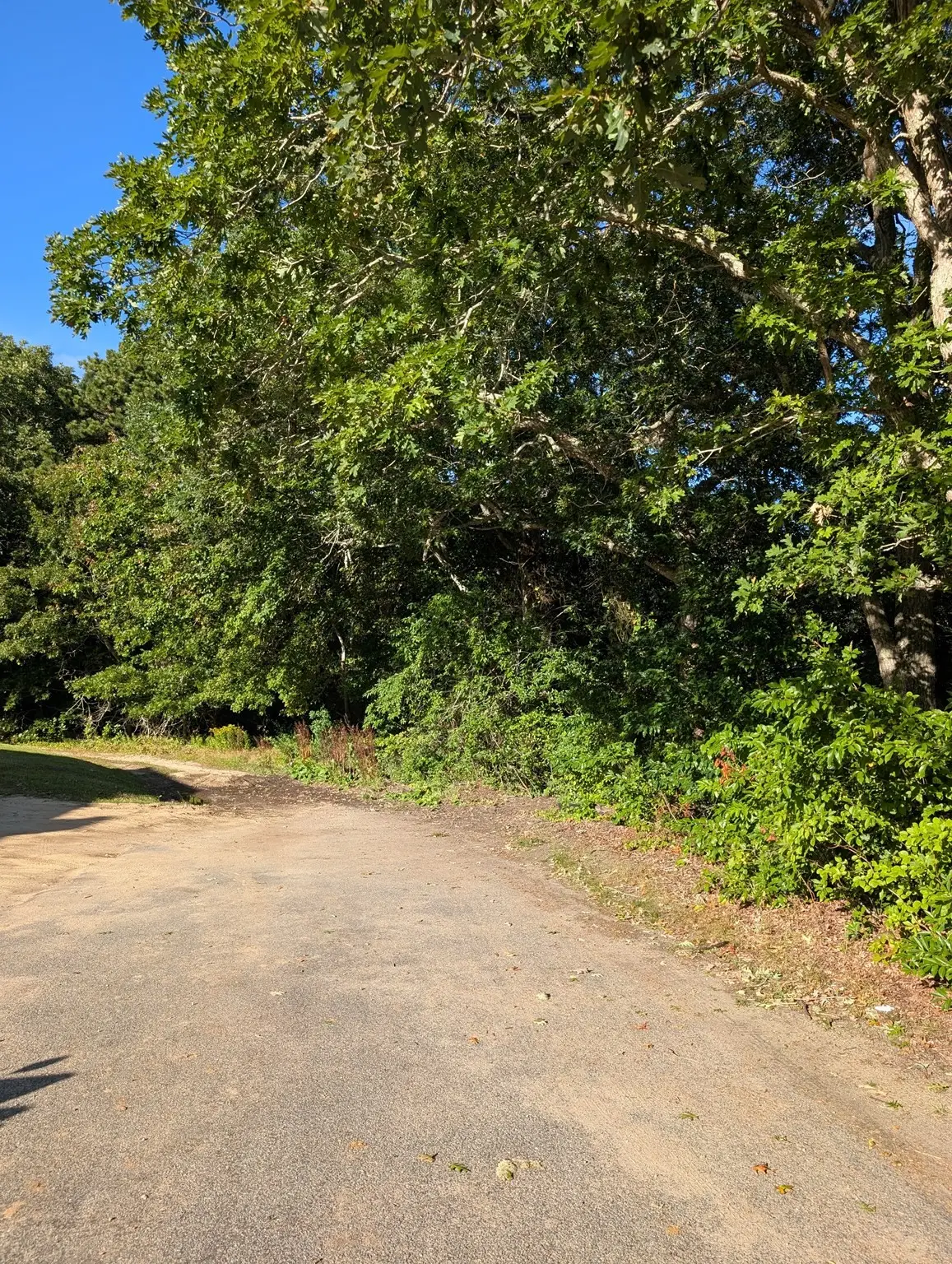 Lot 2-B Pondview Ave, West Yarmouth, MA 02673 - #1