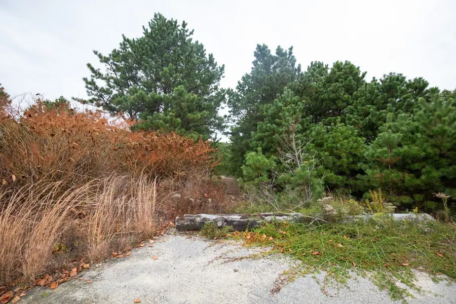 85 Seabiscuit Dr, Plymouth, MA 02360 - #3