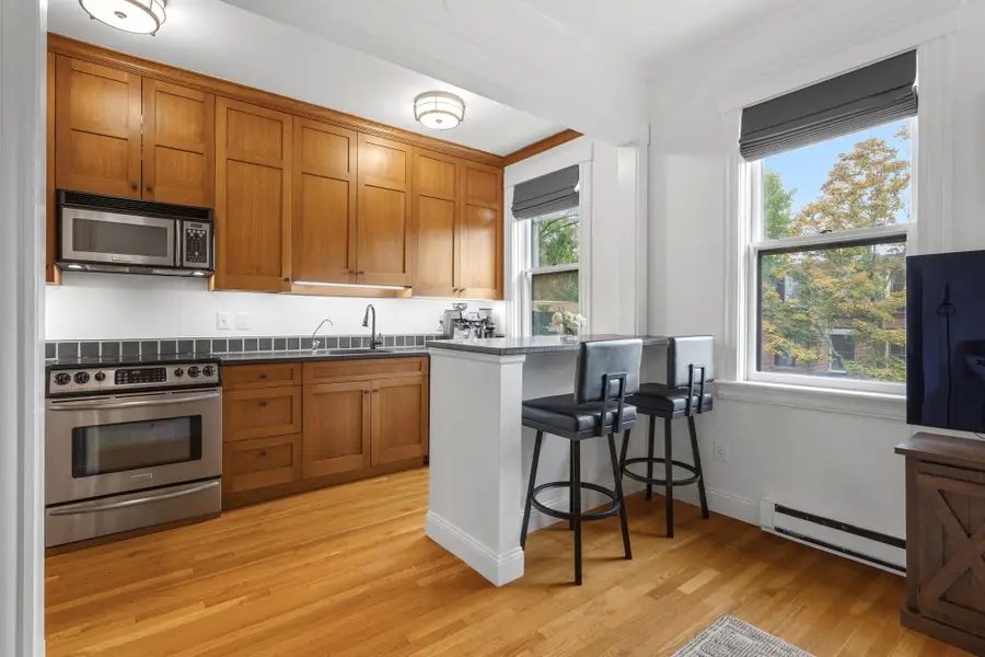 202 W Springfield St #5, Boston, MA 02118 - #2