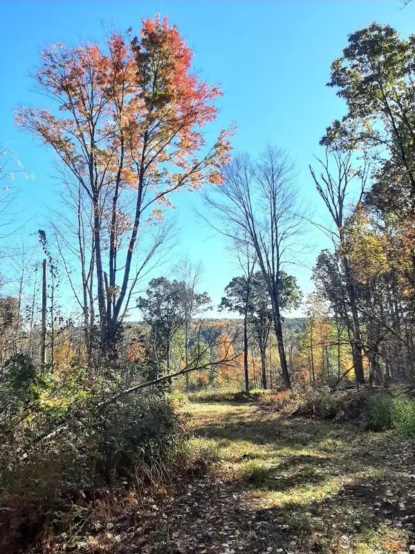 0 Brookfield Road, Brimfield, MA 01010